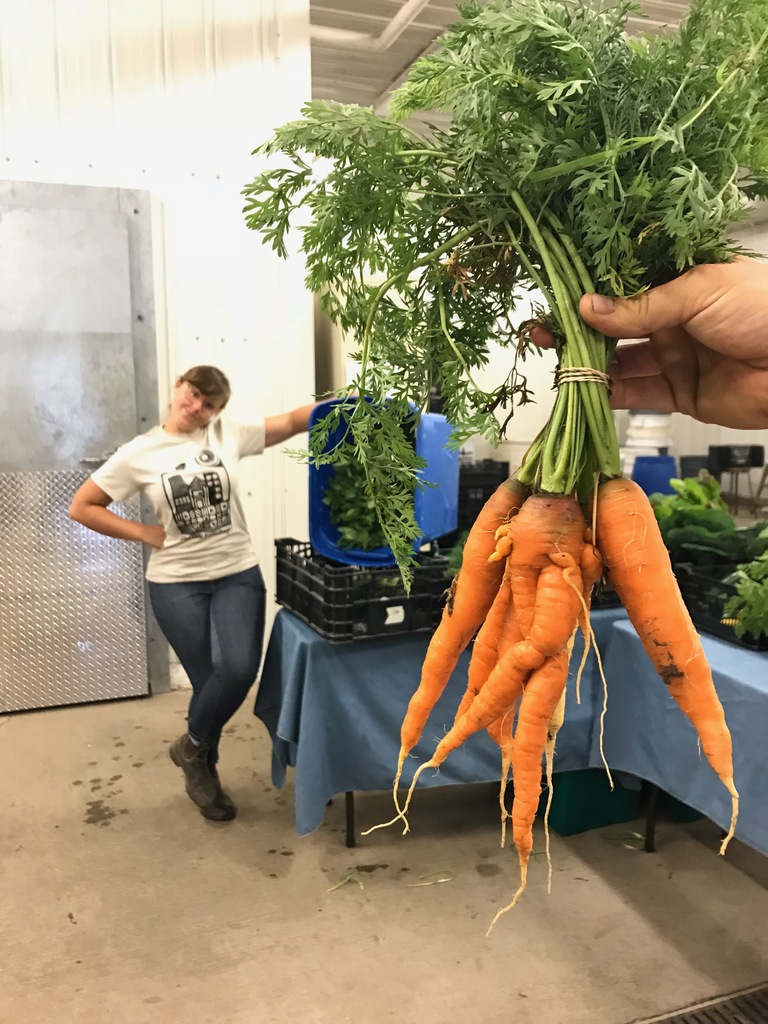 carrots with crossed legs